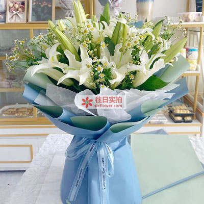 毕节8支白色多头百合洋甘菊，互倾的思念
