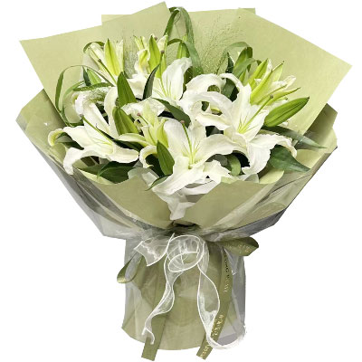 毕节8支白色百合，爱情纯洁而美丽