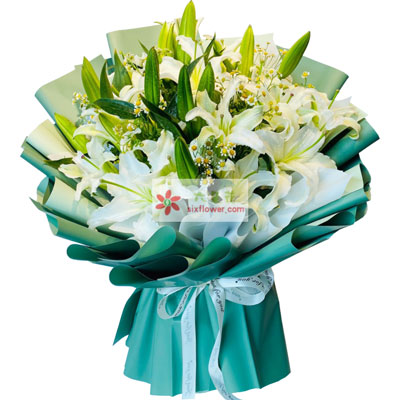 毕节8支白色多头百合洋甘菊，如潮的思念