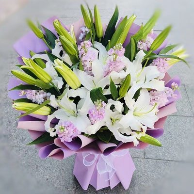 毕节6支百合紫罗兰，快乐永续