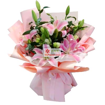 毕节6支粉色多头百合，祝你人生得意